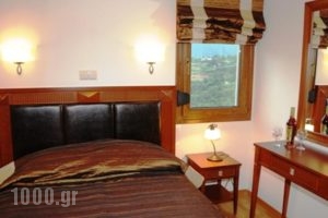 Guesthouse Thea_lowest prices_in_Hotel_Macedonia_Imathia_Naousa