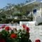 Bungalows Marina_best deals_Hotel_Cyclades Islands_Paros_Naousa