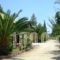Therianos Traditional Villas_travel_packages_in_Ionian Islands_Zakinthos_Zakinthos Rest Areas