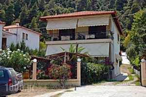 Villa Stella Apartments_accommodation_in_Villa_Macedonia_Halkidiki_Chalkidiki Area