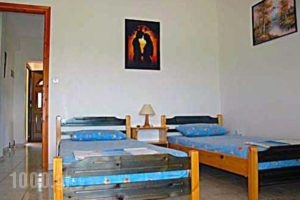 Villa Stella Apartments_holidays_in_Villa_Macedonia_Halkidiki_Chalkidiki Area