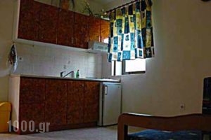 Villa Stella Apartments_lowest prices_in_Villa_Macedonia_Halkidiki_Chalkidiki Area