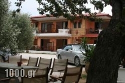 Studios Alexandros in Athens, Attica, Central Greece