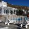 Manolia View_lowest prices_in_Room_Cyclades Islands_Mykonos_Tourlos