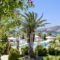 Dionysos Seaside Resort_accommodation_in_Hotel_Cyclades Islands_Ios_Ios Chora