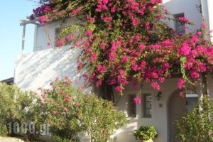 Despina's Rooms And Apartments_best deals_Room_Cyclades Islands_Paros_Naousa