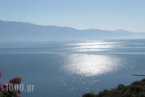 Villa Magemenou_holidays_in_Villa_Ionian Islands_Lefkada_Lefkada's t Areas