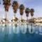 Jonathan Studio Apartments_best deals_Apartment_Dodekanessos Islands_Kos_Tigaki