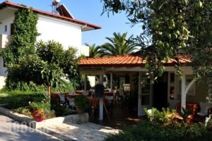 Evripidis Hotel_holidays_in_Hotel_Macedonia_Halkidiki_Kassandreia