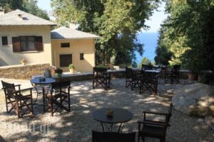 Vergopoulou Oliveyard_travel_packages_in_Thessaly_Magnesia_Agios Georgios Nilias