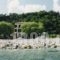 Hotel Votsala_accommodation_in_Hotel_Thessaly_Magnesia_Zagora
