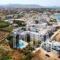 Antonina Apartments_best prices_in_Apartment_Cyclades Islands_Naxos_Agia Anna