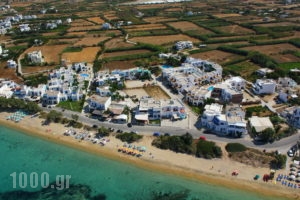 Antonina Apartments_best deals_Apartment_Cyclades Islands_Naxos_Agia Anna