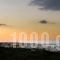 Petra Village Apartments_lowest prices_in_Apartment_Crete_Heraklion_Koutouloufari