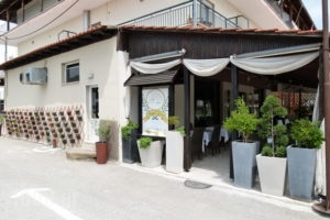 Dias Apartment_lowest prices_in_Apartment_Macedonia_Pieria_Makrigialos