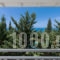 Idilli Villas Lefkada_holidays_in_Villa_Ionian Islands_Lefkada_Lefkada Chora