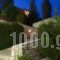 Petronikolis_travel_packages_in_Crete_Heraklion_Choudetsi