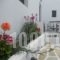 Villa Ostria_lowest prices_in_Villa_Cyclades Islands_Sandorini_kamari