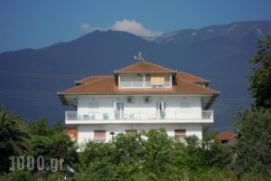 Stella Rooms_accommodation_in_Apartment_Macedonia_Pieria_Leptokaria