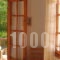 Nina Studios_best deals_Room_Sporades Islands_Skopelos_Stafylos