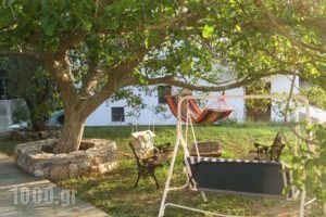 Nina Studios_holidays_in_Room_Sporades Islands_Skopelos_Stafylos