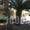 Dimitra Studios_best deals_Apartment_Ionian Islands_Corfu_Benitses