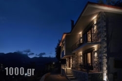 Grand Village Boutique Inn in Ioannina City, Ioannina, Epirus