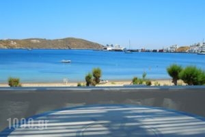 Albatross_best prices_in_Hotel_Cyclades Islands_Serifos_Serifos Chora