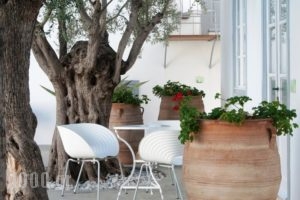 Orloff Resort_best deals_Hotel_Piraeus Islands - Trizonia_Spetses_Spetses Chora