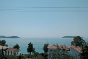 Azalea View_best deals_Apartment_Sporades Islands_Skiathos_Skiathos Chora