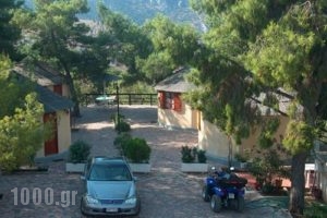 Delphi Rooms & Bungalows_travel_packages_in_Central Greece_Fokida_Delfi