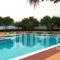 Delphi Rooms & Bungalows_holidays_in_Apartment_Central Greece_Fokida_Delfi