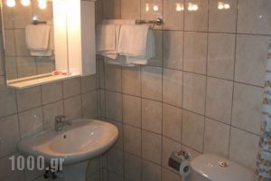 Delphi Rooms & Bungalows_lowest prices_in_Apartment_Central Greece_Fokida_Delfi