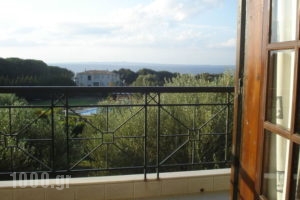 Villa-Georgina_best prices_in_Villa_Peloponesse_Ilia_Pyrgos