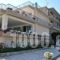 Epihotel Odysseas_accommodation_in_Hotel_Peloponesse_Ilia_Pyrgos