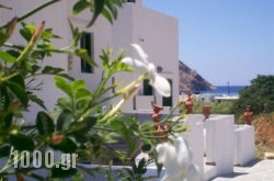 Villa Areto in Psarou, Mykonos, Cyclades Islands