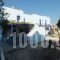 Villa Melina_accommodation_in_Villa_Cyclades Islands_Paros_Piso Livadi