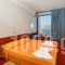 Hippocampus_holidays_in_Hotel_Cyclades Islands_Paros_Paros Chora