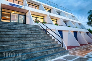 Hippocampus_lowest prices_in_Hotel_Cyclades Islands_Paros_Paros Chora