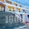 Hippocampus_lowest prices_in_Hotel_Cyclades Islands_Paros_Paros Chora