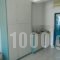 Villa Dora Studios 2_best deals_Villa_Cyclades Islands_Andros_Batsi