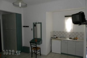 Villa Dora Studios 2_best prices_in_Villa_Cyclades Islands_Andros_Batsi