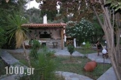 Green Paradise in  Nea Stira , Evia, Central Greece