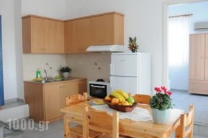 Agnadi Syrou Studios & Apartments_accommodation_in_Apartment_Cyclades Islands_Syros_Megas Gialos