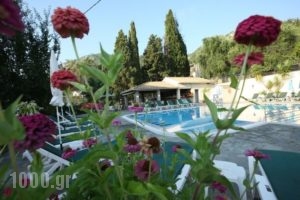 Elli-Marina Studios_best prices_in_Apartment_Ionian Islands_Corfu_Benitses