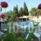 Elli-Marina Studios_best prices_in_Apartment_Ionian Islands_Corfu_Benitses