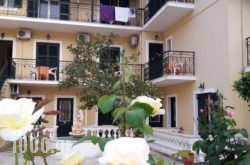 Elli-Marina Studios in Benitses, Corfu, Ionian Islands