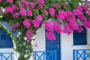 Margarenia_accommodation_in_Apartment_Cyclades Islands_Sandorini_Sandorini Chora