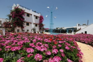 Paul Marie Studios & Apartments_lowest prices_in_Apartment_Crete_Heraklion_Gouves