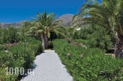 Cherry Village in Sfakia, Chania, Crete